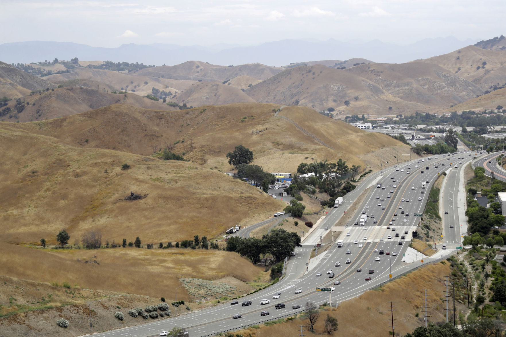 Wildlife Crossing Southern California